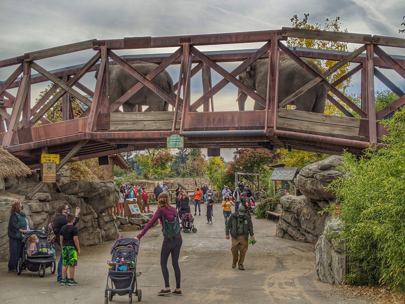 Denver zoo open thanksgiving